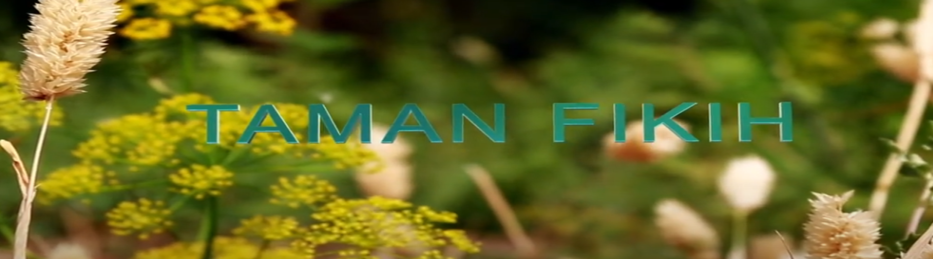 Hukum Islam (Muamalah)